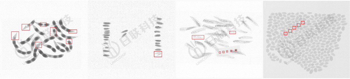 日联异物检测X光图 日联异物检测X光图