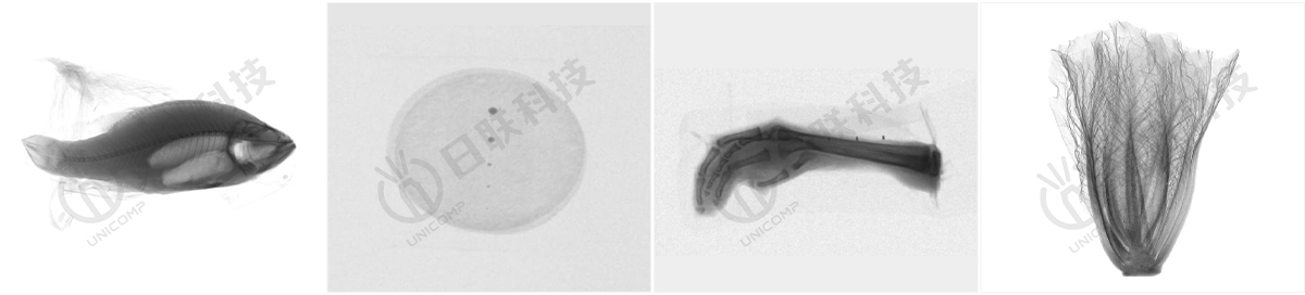 X-ray异物检测图-日联 X-ray异物检测图-日联